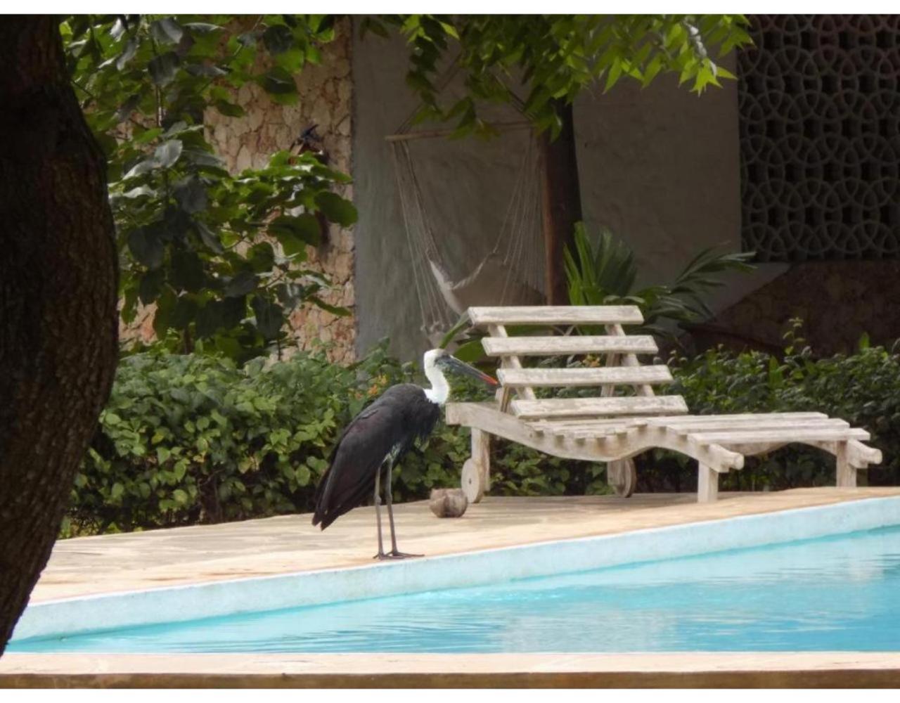 Eco Villas Watamu Bagian luar foto